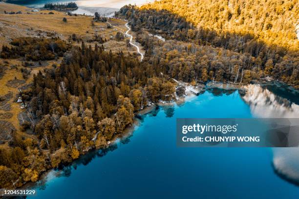 drohnenansicht königssee, bayern - bodensee luftaufnahme stock-fotos und bilder