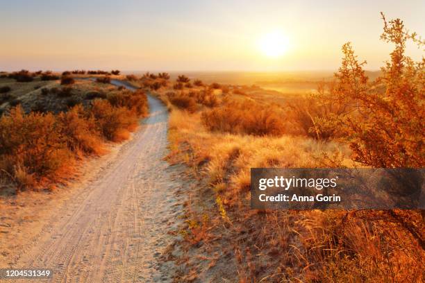 foothills hiking trail in camel's back park at sunset in boise, idaho - foothills - fotografias e filmes do acervo