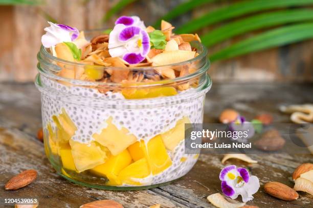 chia pudding with fruits and nuts - mango coconut stock-fotos und bilder