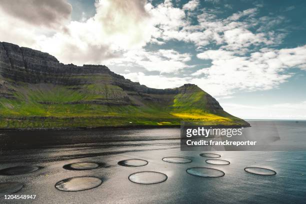 fishing farm at faroe islands - fish farm stock pictures, royalty-free photos & images