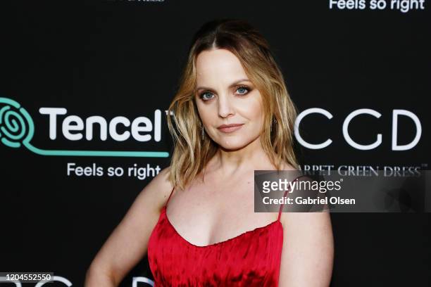 Mena Suvari attends Red Carpet Green Dress at the Private Residence of Jonas Tahlin, CEO of Absolut Elyx on February 06, 2020 in Los Angeles,...