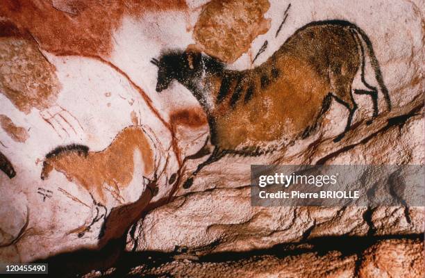 The Lascaux cave in Lascaux, France.