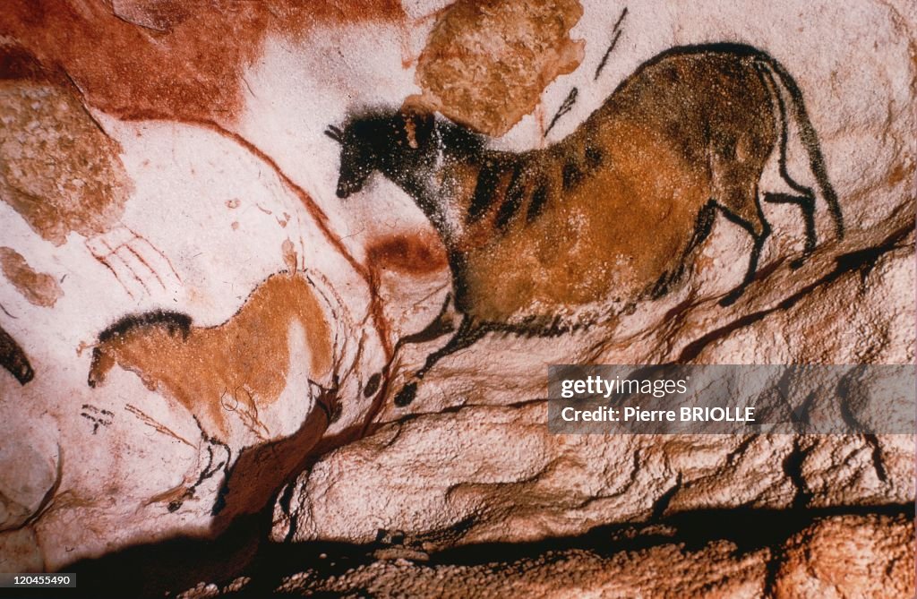 The Lascaux Cave In Lascaux, France -