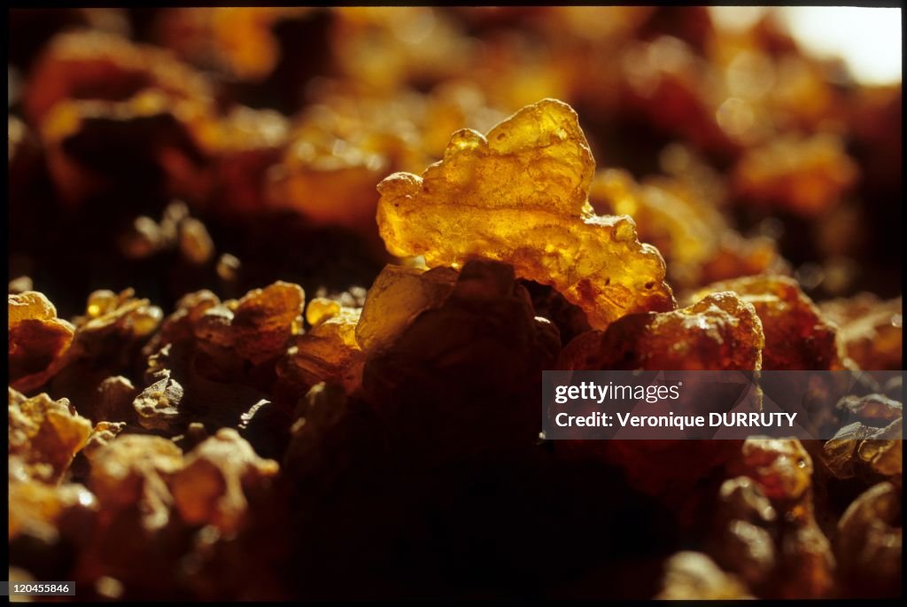 Perfumes Created By Women In France In November, 2007 -