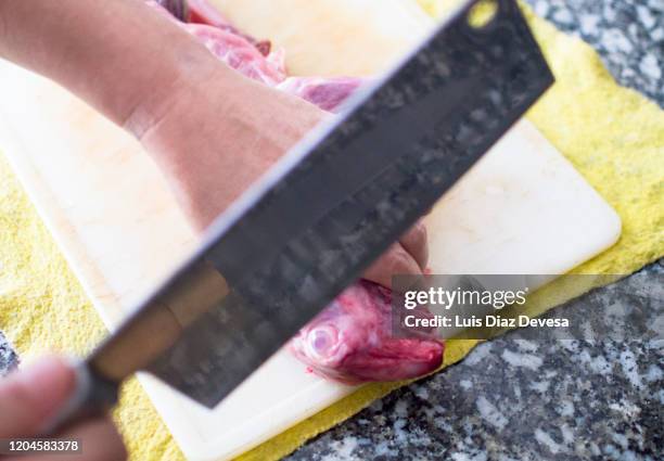 Raw Rabbit Cut 74 Rabbit Meat Raw Stock Photos, High-Res Pictures, and Images - Getty ...