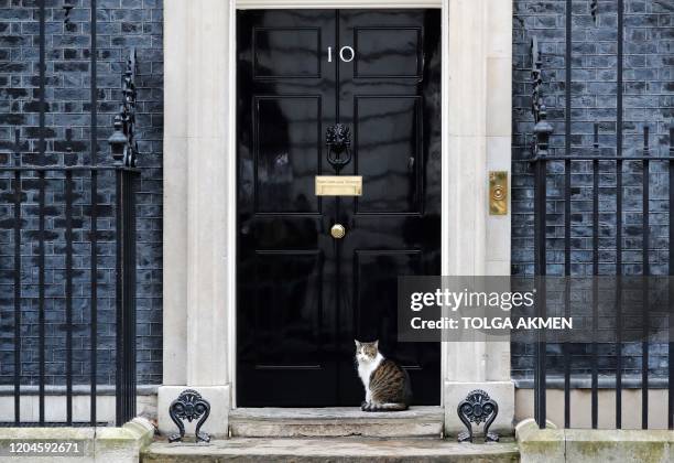 Larry, the Downing Street cat, waits to enter 10 Downing Street in central London on March 2, 2020. - Britain's Prime Minister Prime Minister will on...