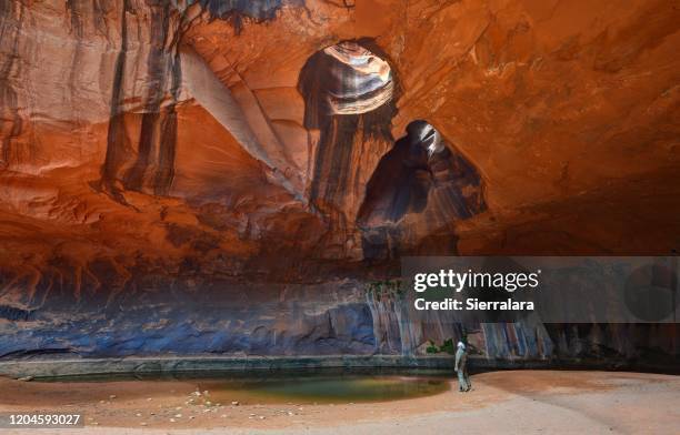 the golden cathedral, glen canyon national recreation area, utah, usa - glen canyon stock-fotos und bilder