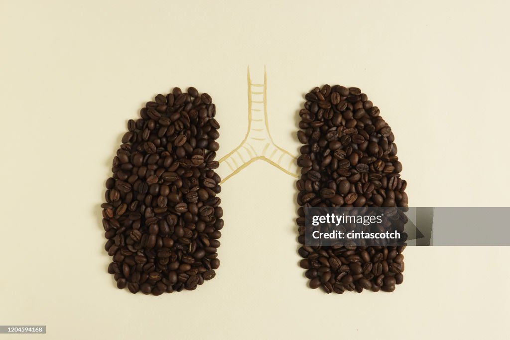Conceptual human lungs