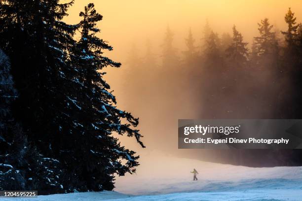 between shadow and light - borovets stock pictures, royalty-free photos & images