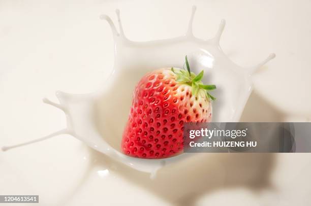 fresh ripe strawberry dropping into milk. - cream splash stockfoto's en -beelden