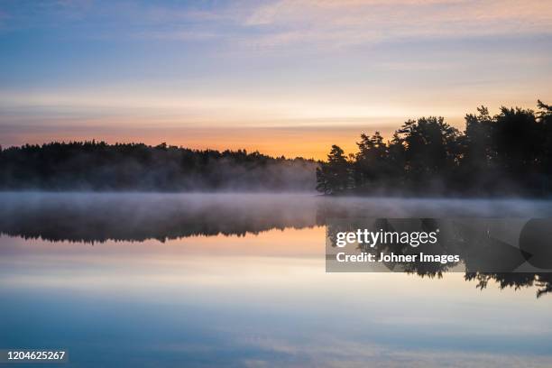 view of foggy lake at sunset - göteborg silhouette bildbanksfoton och bilder