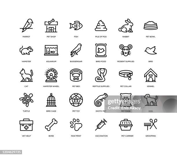 haustiere icon set - exotisches haustier stock-grafiken, -clipart, -cartoons und -symbole
