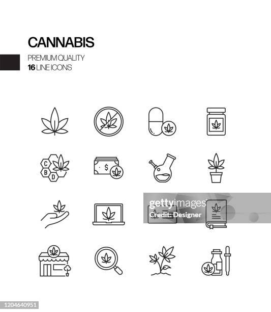 ilustraciones, imágenes clip art, dibujos animados e iconos de stock de conjunto simple de iconos de línea vectorial relacionados con el cannabis. colección de símbolos de esquema - cannabis medicinal