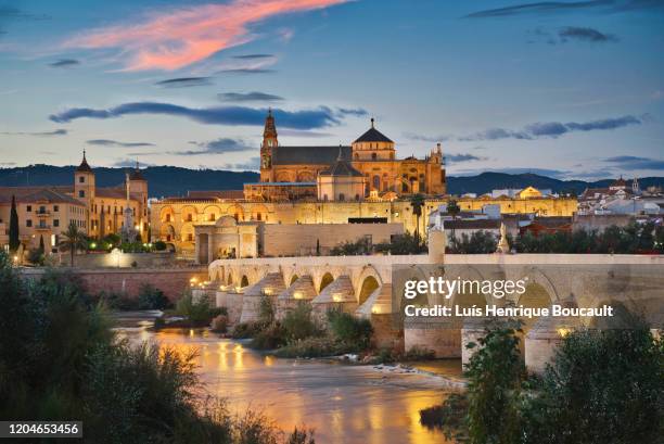 cordoba & sunset - córdoba españa fotografías e imágenes de stock