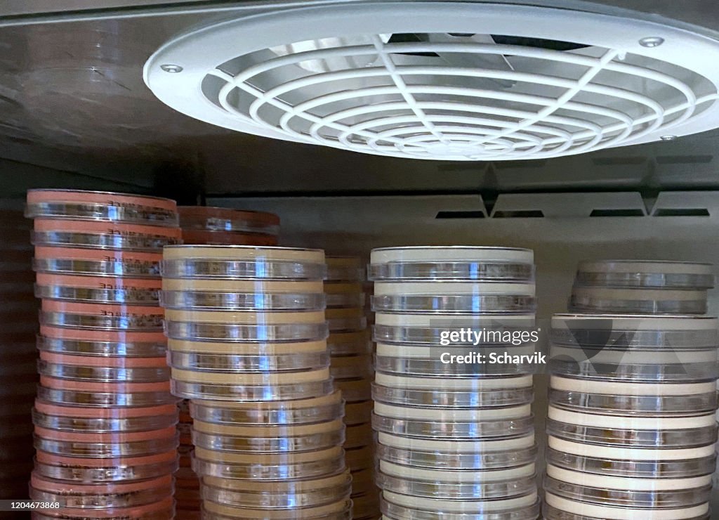 Stacks of agar plates inside incubation cabinet