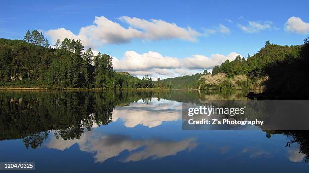 cloudy sky reflection in lake waipapa - hamilton australia stock pictures, royalty-free photos & images