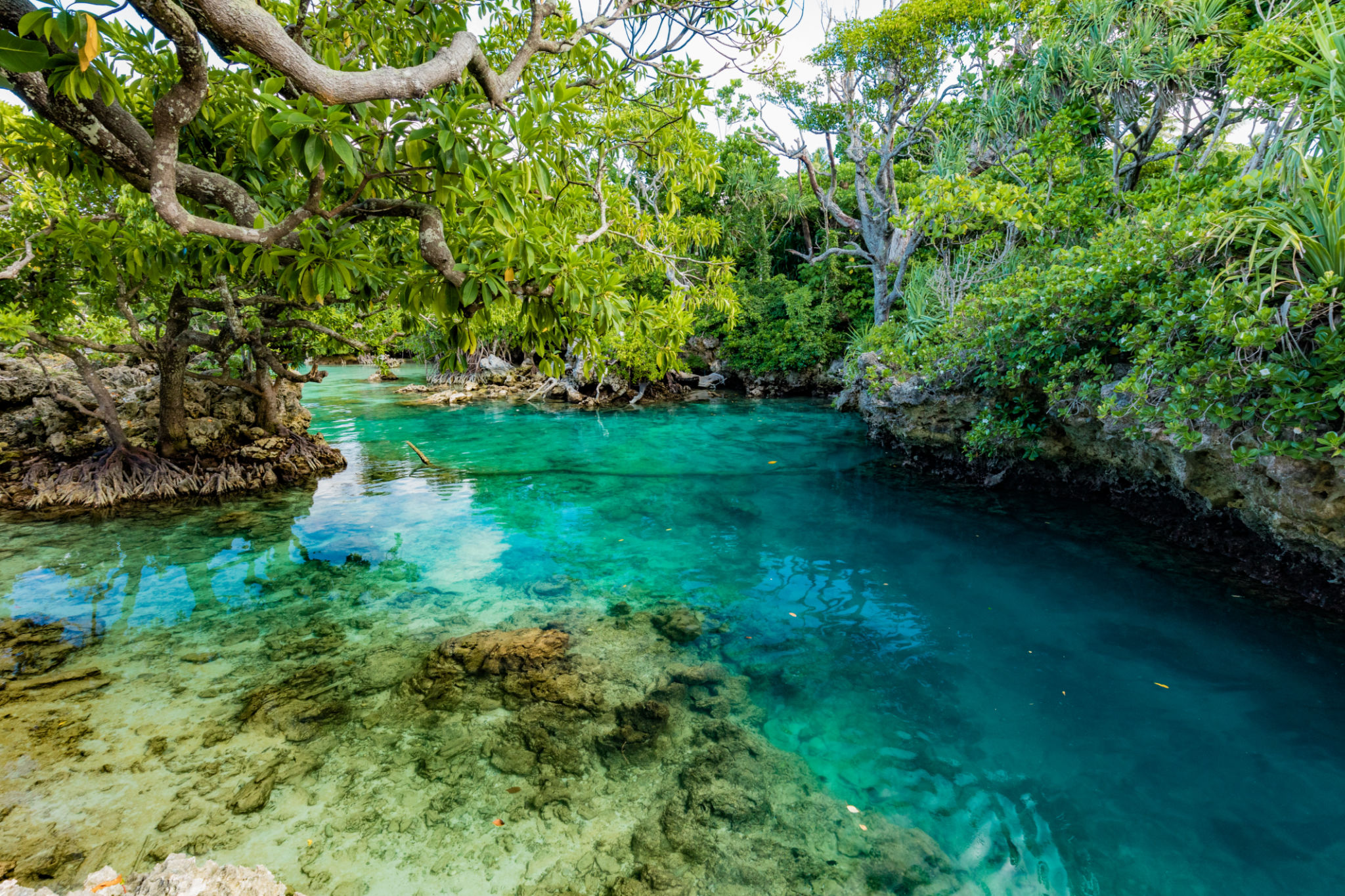 The Blue Lagoon, Port Vila, Efate, Vanuatu The Blue Lagoon, Port Vila, Efate, Vanuatu