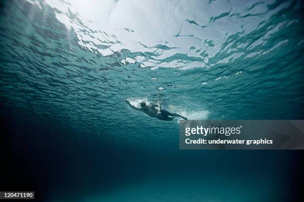 swimming - swimming underwater ストックフォトと画像
