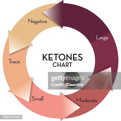 Ketometer Color Ketogenic Reading Infographic Chart Showing Color Coding For Ketone ...