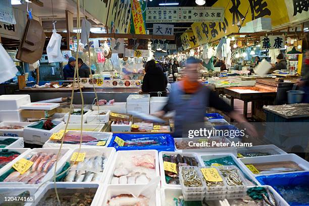 tsukiji fish market, tokyo japan - pescivendolo foto e immagini stock