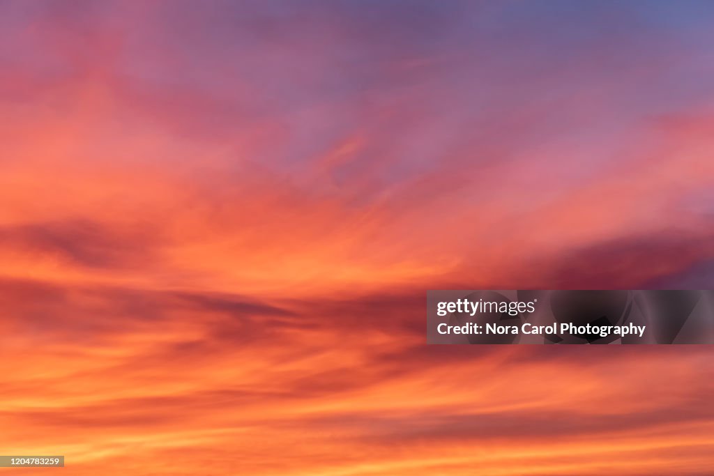 Vibrant and Colorful Sunset background