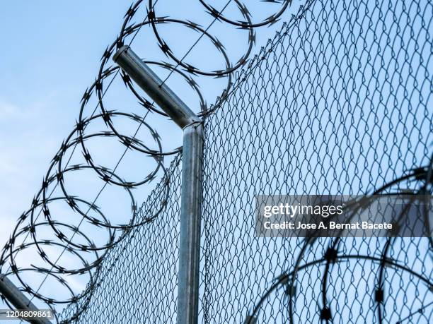 metal fence with barbed wire. - 有刺鉄線 ストックフォトと画像