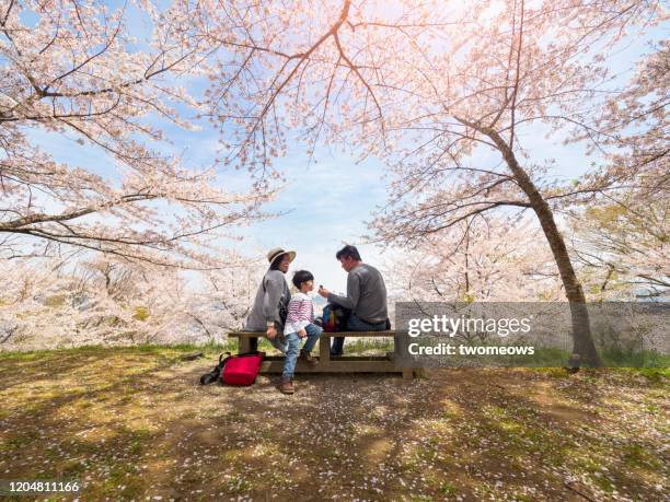 tourist in spring time japan. - 遠距離拍攝 個照片及圖片檔