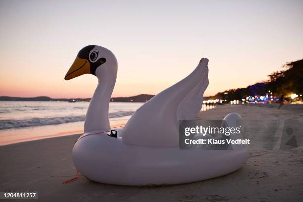 Swan Inflatable Raft 376 Inflatable Swans Stock Photos, High-Res Pictures, and Images ...