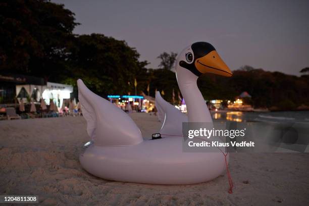 Swan Inflatable Raft Inflatable Swan Beach Photos and Premium High Res Pictures - Getty Images