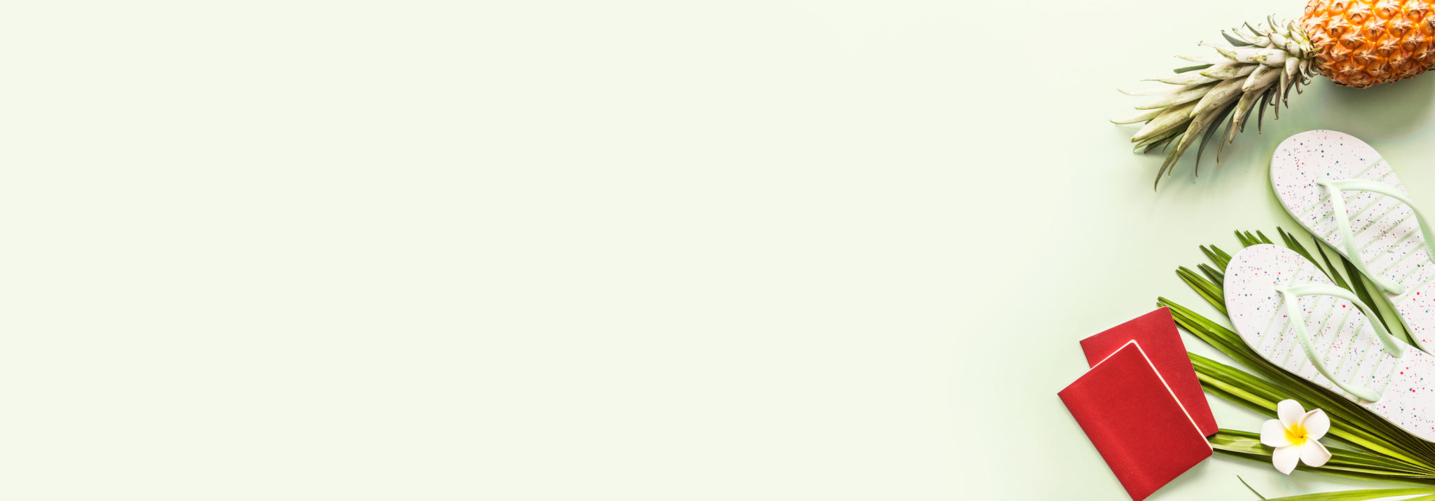 palm beach web design