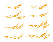 wheat ears and oats spikes icons set