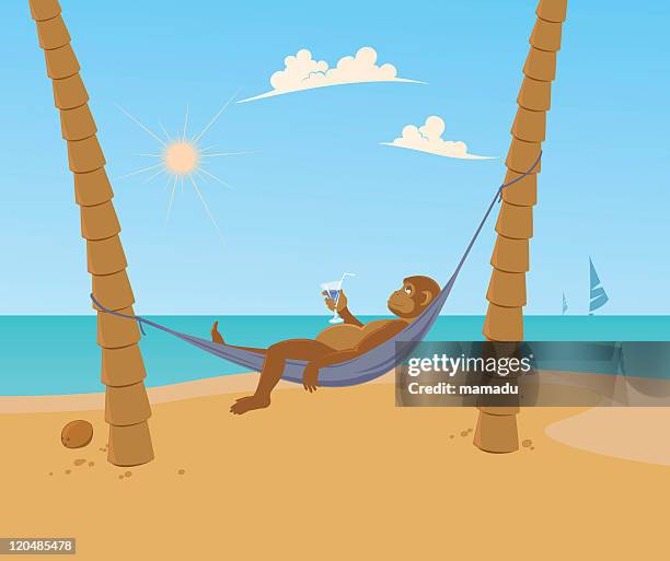 monkey beach - traumstrand stock-grafiken, -clipart, -cartoons und -symbole