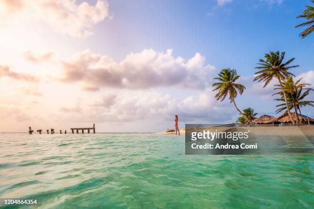 young woman admiring the sunset on a tropical beach. san blas islands, panama - coconut beach woman stock pictures, royalty-free photos & images