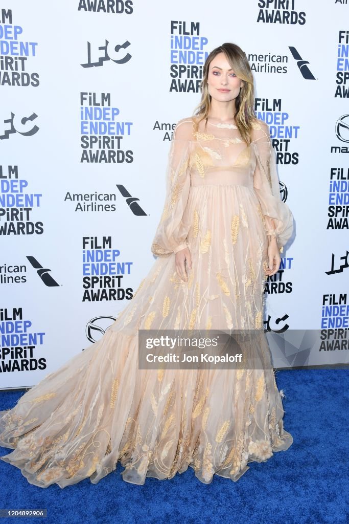 2020 Film Independent Spirit Awards  - Arrivals