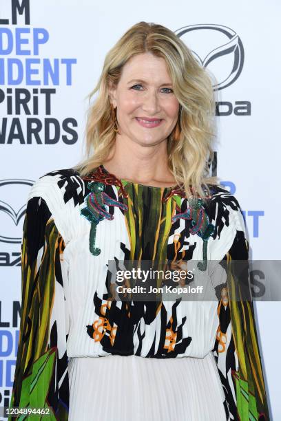 Laura Dern attends the 2020 Film Independent Spirit Awards on February 08, 2020 in Santa Monica, California.