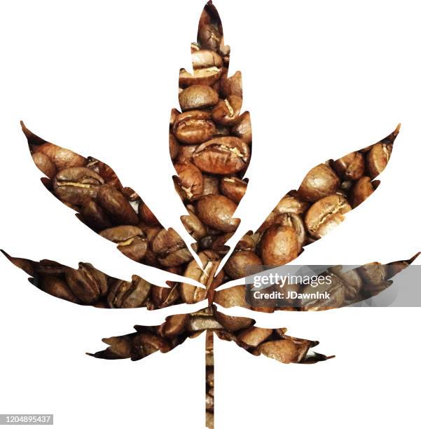 pot leaf with roasted coffee bean texture. cannabis infused coffee. - marijuana leaf stock illustrations
