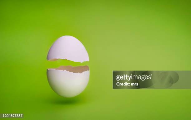 egg shell - animal egg stock pictures, royalty-free photos & images