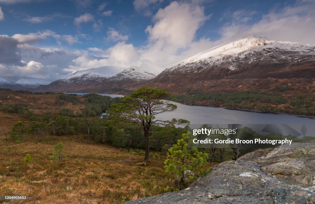 Beautiful Glen Affric.