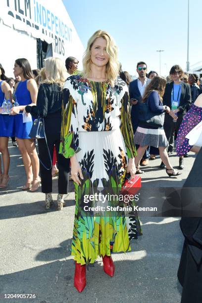 Laura Dern with FIJI Water and JNSQ at The 2020 Film Independent Spirit Awards on February 08, 2020 in Santa Monica, California.