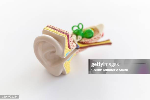 human ear - audiologist stock-fotos und bilder