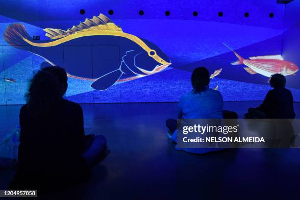 Visitors watch the multimedia installation during the "Japao em Sonhos" exhibition at the Japan House, in Sao Paulo, Brazil, on March 3, 2020.