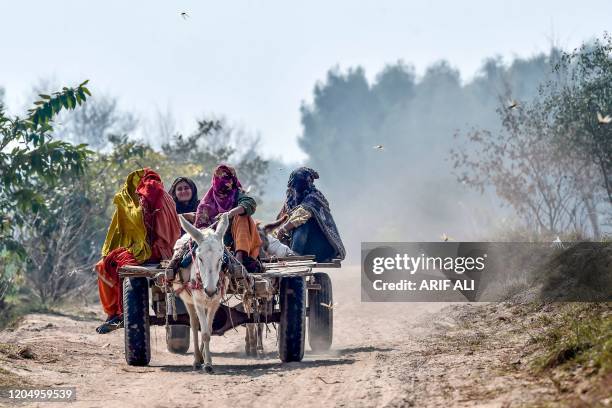 6,901 Punjab Village Photos and Premium High Res Pictures - Getty Images 6,901 Punjab Village Photos and Premium High Res Pictures - Getty Images