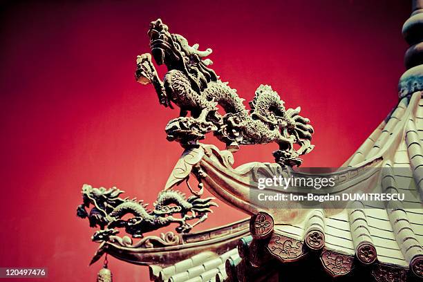 fire dragons - singapore thian hock keng temple stockfoto's en -beelden