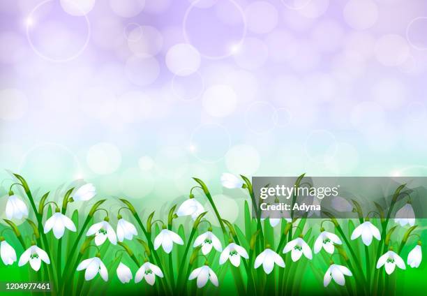 40 Late Spring Background High Res Illustrations - Getty Images