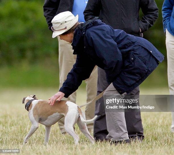 Princess Anne, The Princess Royal uses her trouser belt as a makeshift dog lead as she attends day 2 of The Festival of British Eventing at Gatcombe...