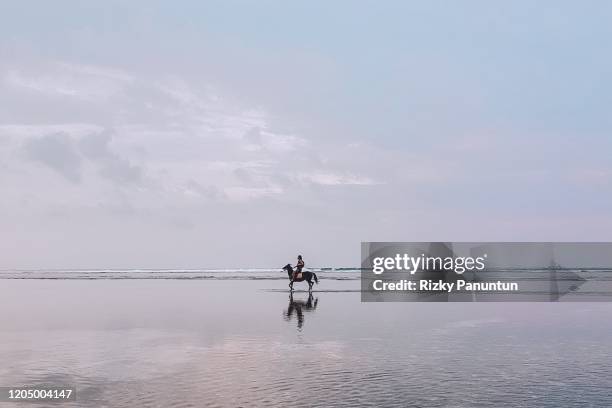 silhouette people horseback riding at beach against sky during sunset - bali horse fotografías e imágenes de stock