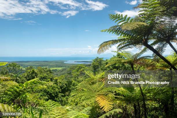 mount alexandra lookout, daintree national park, queensland, australia - port douglas stock pictures, royalty-free photos & images