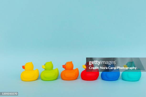 colorful rubber ducks - badeend stockfoto's en -beelden