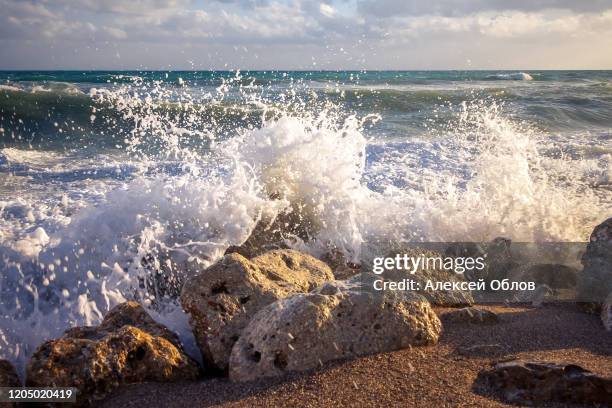 big splash of a stormy sea wave breaking against rocks from portuguese northern coast. soft backlight. - wildunfall stock-fotos und bilder