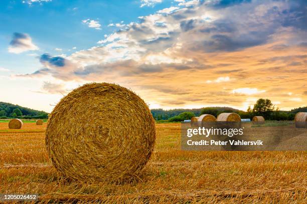 coucher du soleil de balle de foin - hay bale of hay photos et images de collection